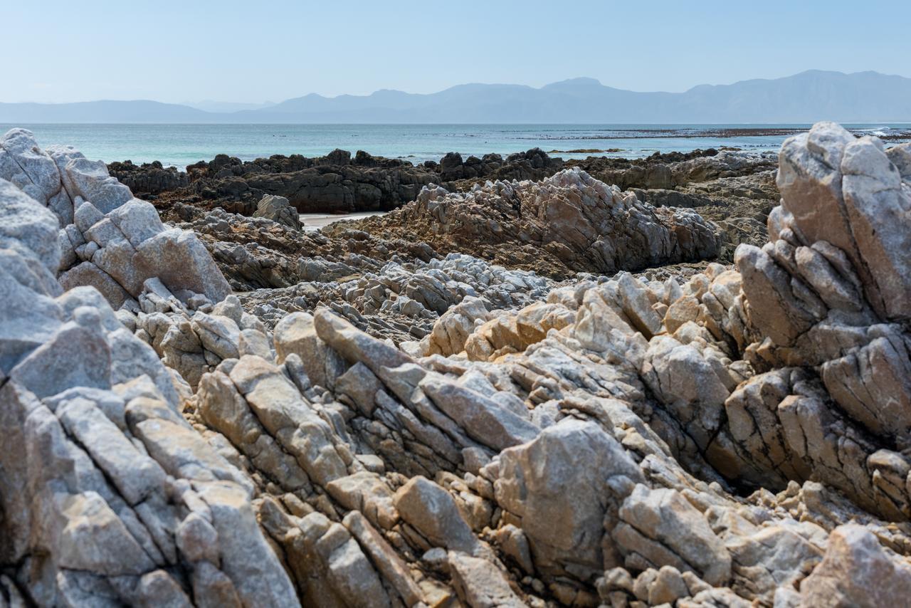 Romans Villa Gansbaai Dış mekan fotoğraf